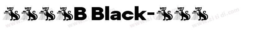 朝华标题B Black字体转换